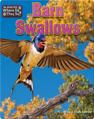 Barn Swallows book