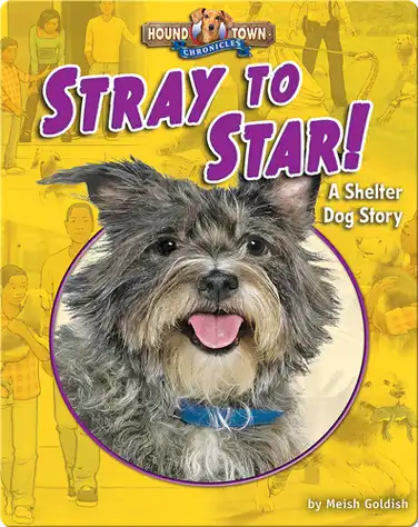 Stray to Star! A Shelter Dog Story book