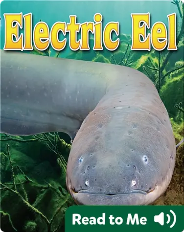 Electric Eel book