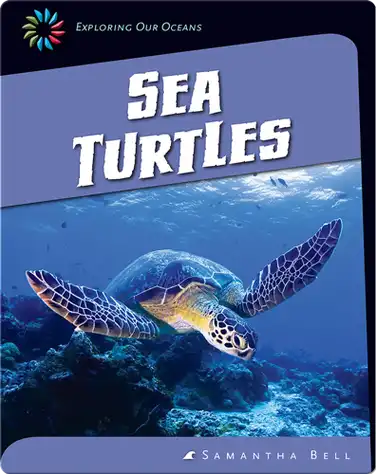 Sea Turtles book