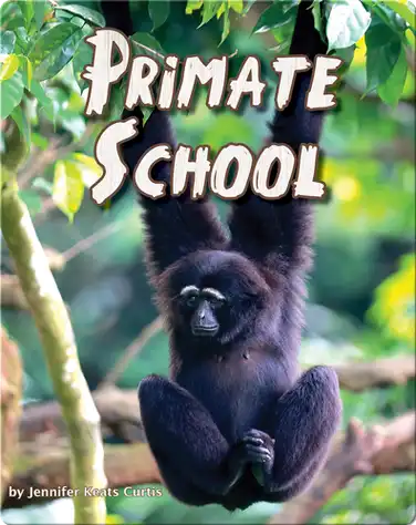 Primate School book