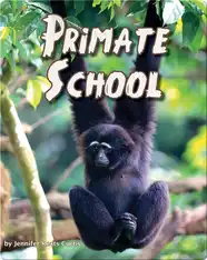Primate School