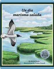 Un día en la marisma salada