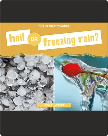 Hail or Freezing Rain? book