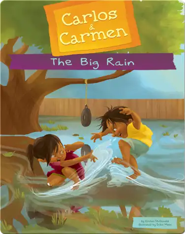 The Big Rain book