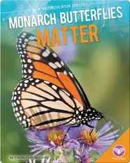 Monarch Butterflies Matter