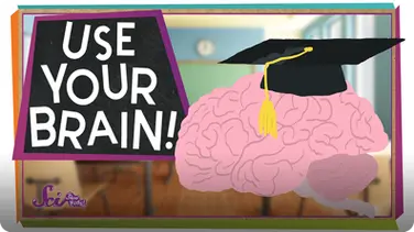 SciShow Kids: Use Your Brain! book