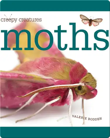 Moths book