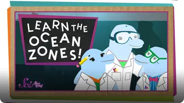 SciShow Kids: Let's Learn the Ocean Zones! book