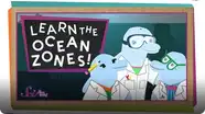 SciShow Kids: Let's Learn the Ocean Zones!