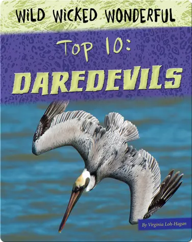 Top 10: Daredevils book