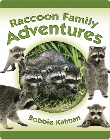 Raccoon Family Adventures book