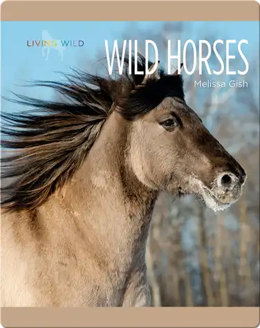 Wild Horses book