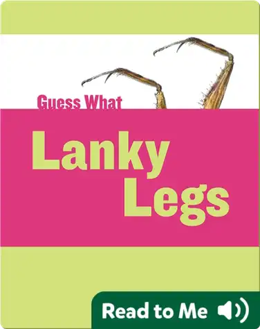 Lanky Legs book