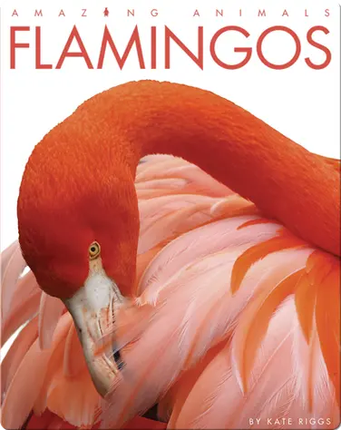 Flamingos book