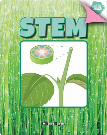 Stem book