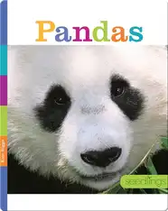 Pandas