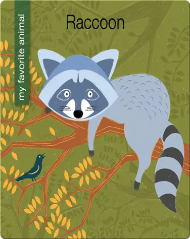 Raccoon book