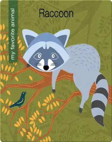 Raccoon book