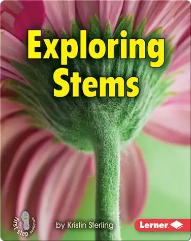 Exploring Stems book