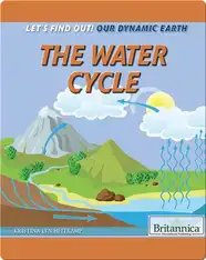 The Water Cycle