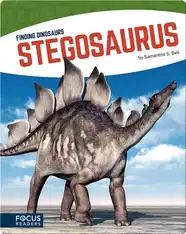Stegosaurus