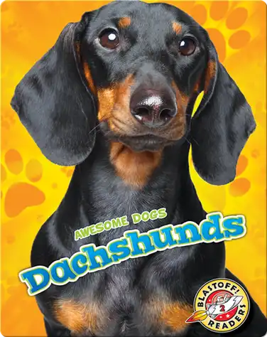 Awesome Dogs: Dachshunds book
