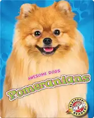Awesome Dogs: Pomeranians