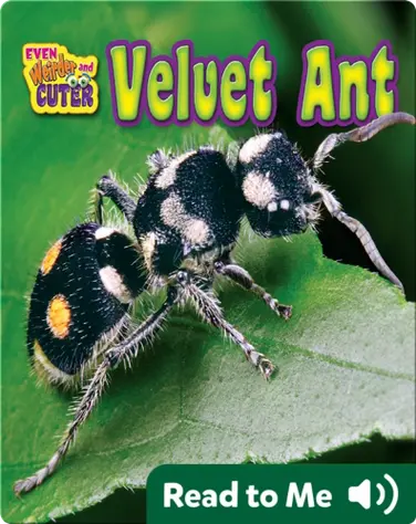 Velvet Ant book