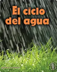 El ciclo del agua (Earth's Water Cycle)
