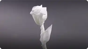 Origami Napkin Rose for Valentine's Day book