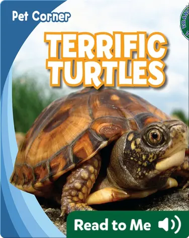 Terrific Turtles book