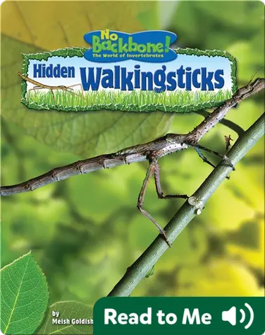 Hidden Walkingsticks book