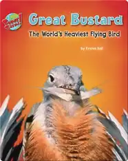 Great Bustard: The World's Heaviest Flying Bird