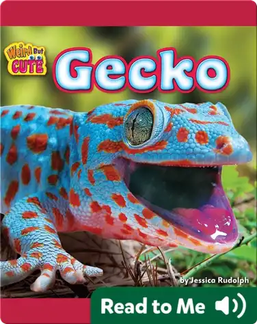 Gecko book