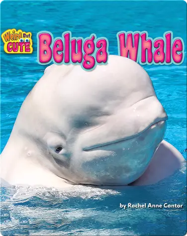 Beluga Whale book