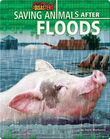 Saving Animals After Floods book