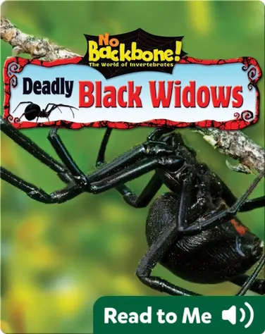 Deadly Black Widows book