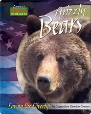 Grizzly Bears: Saving the Silvertip