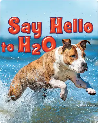 Say Hello to H2O book