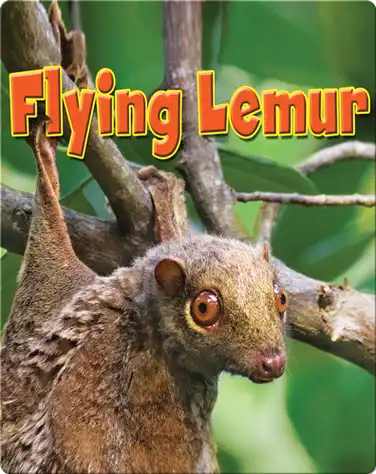 Flying Lemur book