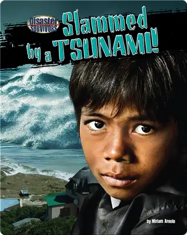 Slammed by a Tsunami! book