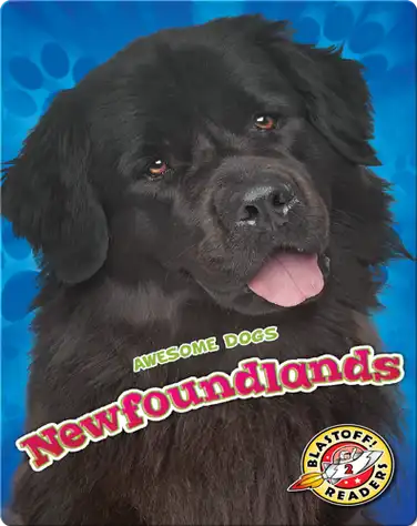 Newfoundlands book