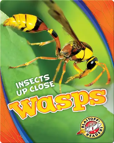 Wasps book