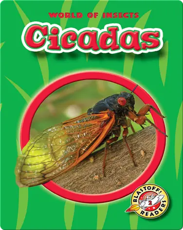 World of Insects: Cicadas book