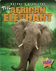 The African Elephant