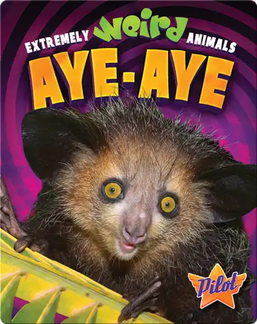 Aye-Aye book