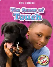The Sense of Touch