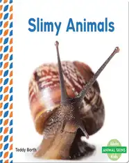 Slimy Animals