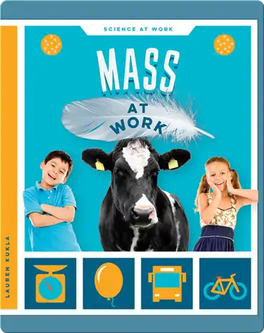 Mass at Work book